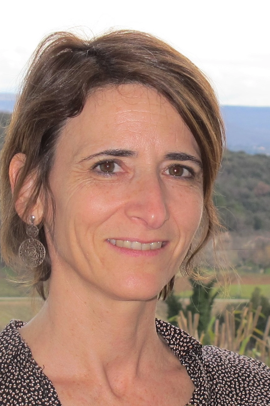 anne morin psychotherapie montelimar